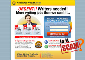 writing to wealth review